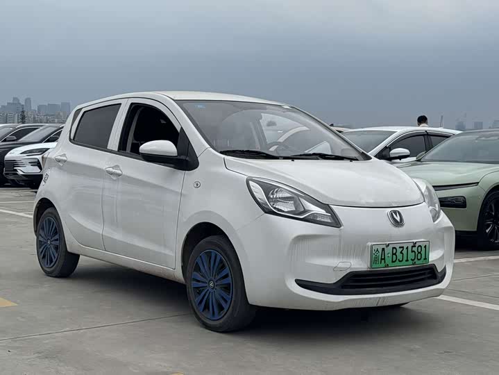 Фото 3 - Changan BenBen E-Star