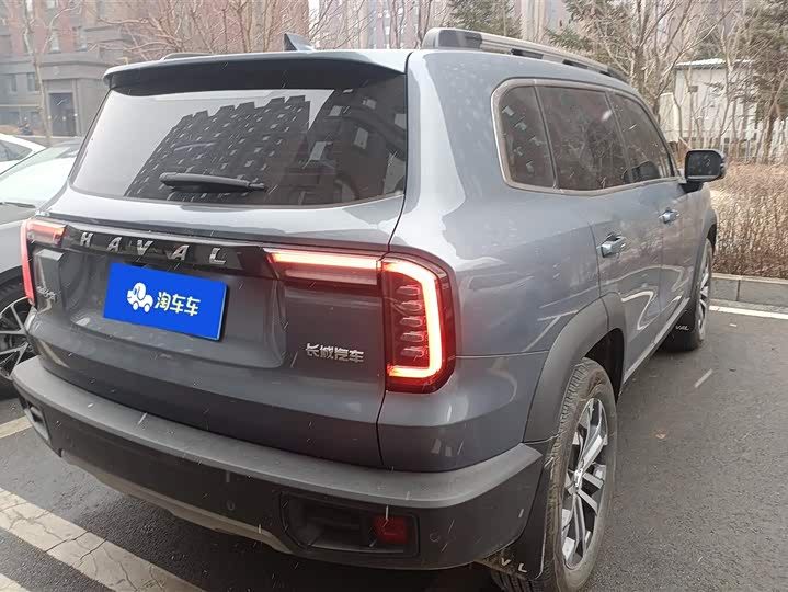 Фото 3 - Haval Dargo