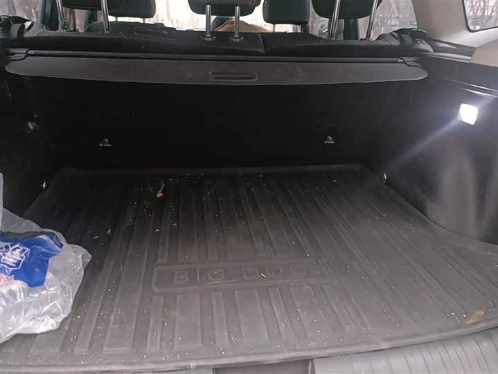 Фото 4 - Haval Dargo