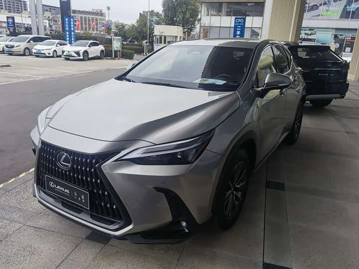 Фото 1 - Lexus NX