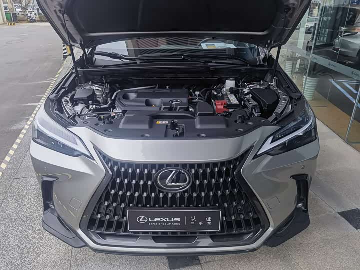Фото 4 - Lexus NX