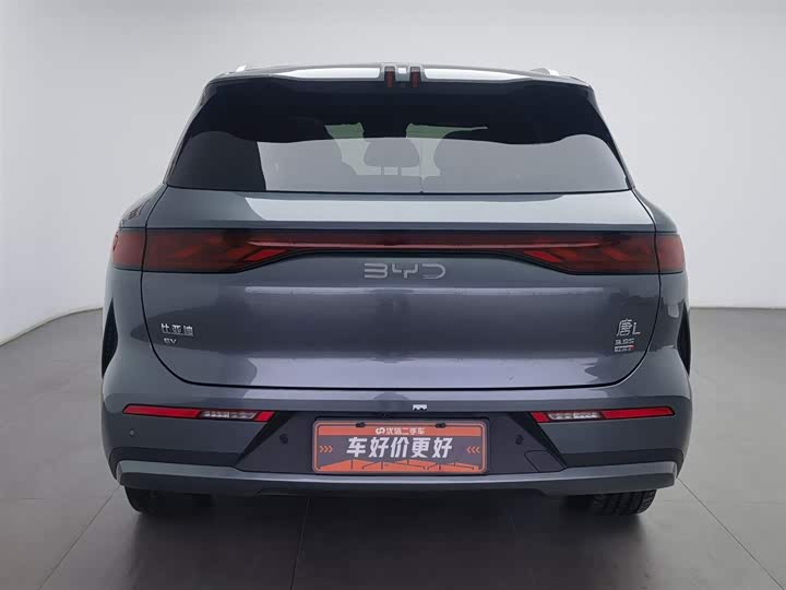 Фото 4 - BYD Tang L