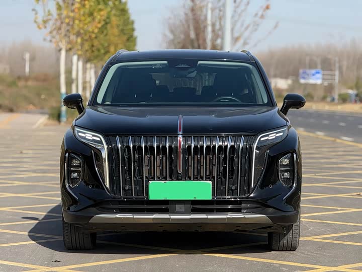 Фото 2 - Hongqi HS7 Hybrid