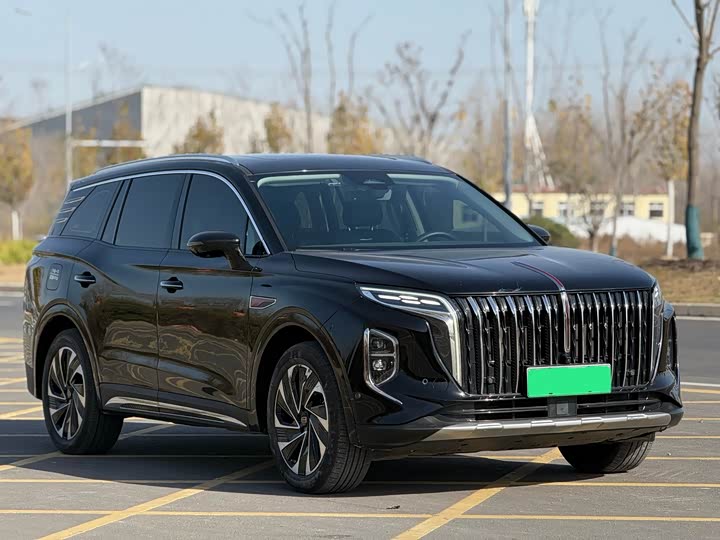 Фото 3 - Hongqi HS7 Hybrid