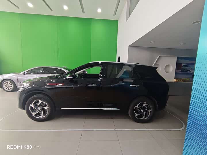 Photo 4 - Hongqi HS3