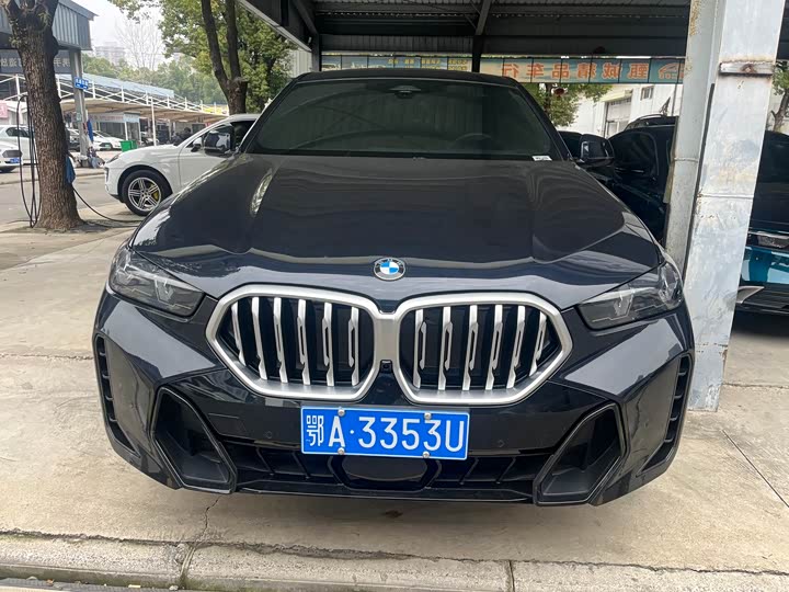 Фото 2 - BMW X6