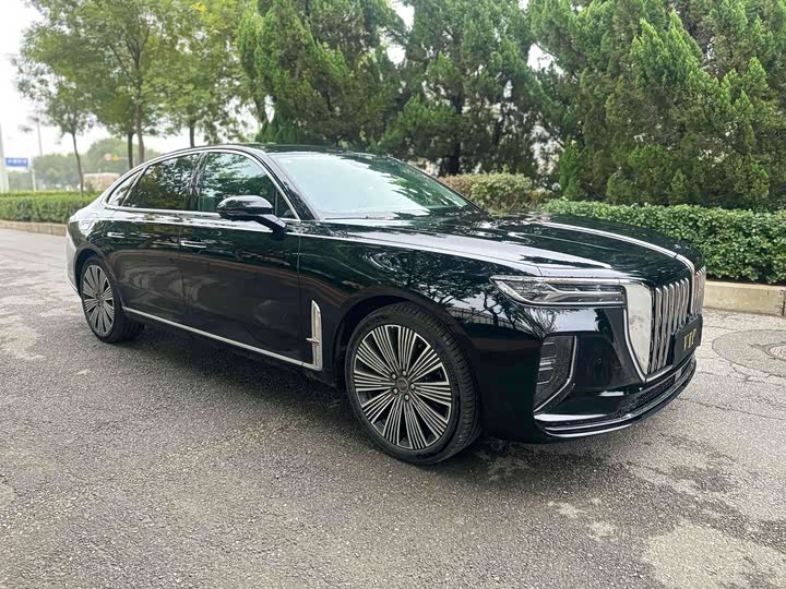 Фото 2 - Hongqi H9