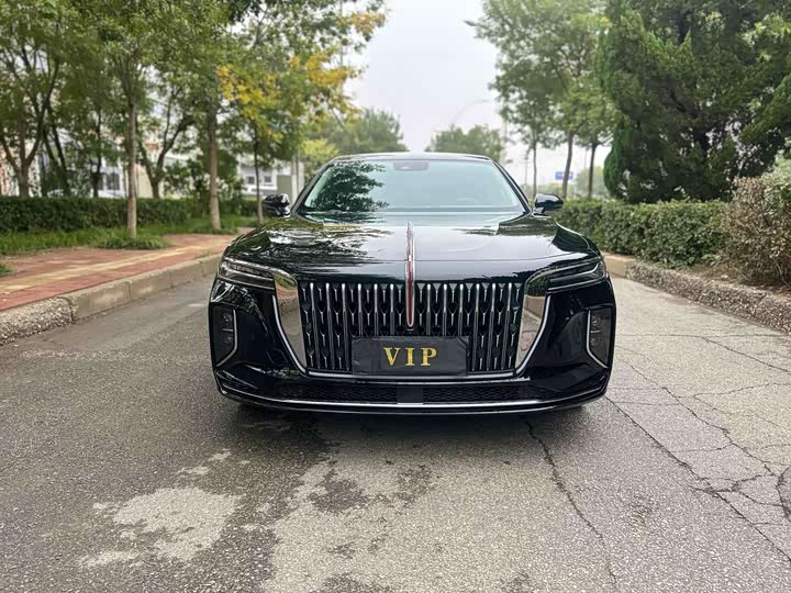 Фото 3 - Hongqi H9