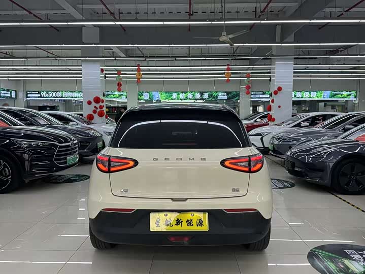 Фото 5 - Geely Galaxy Geome