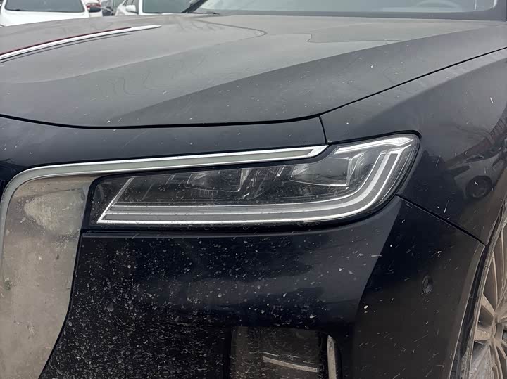 Фото 5 - Hongqi H9