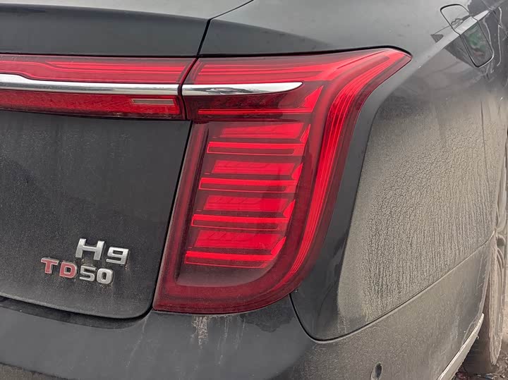 Фото 6 - Hongqi H9