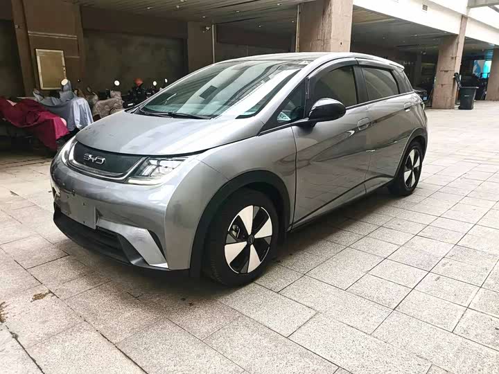 Фото 1 - BYD Dolphin