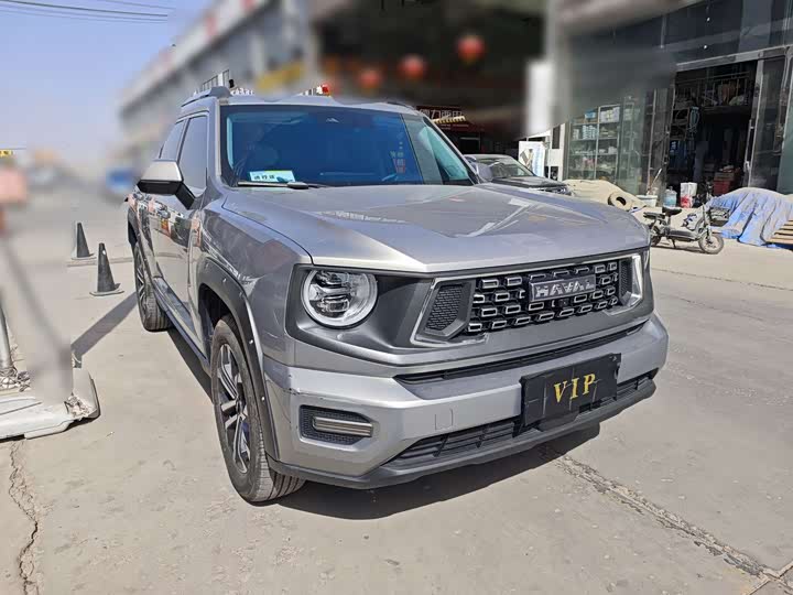 Фото 3 - Haval H-Dog
