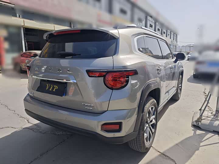 Фото 6 - Haval H-Dog