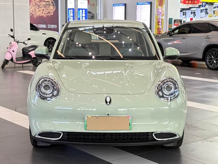 Photo 2 - Ora Good Cat (03)