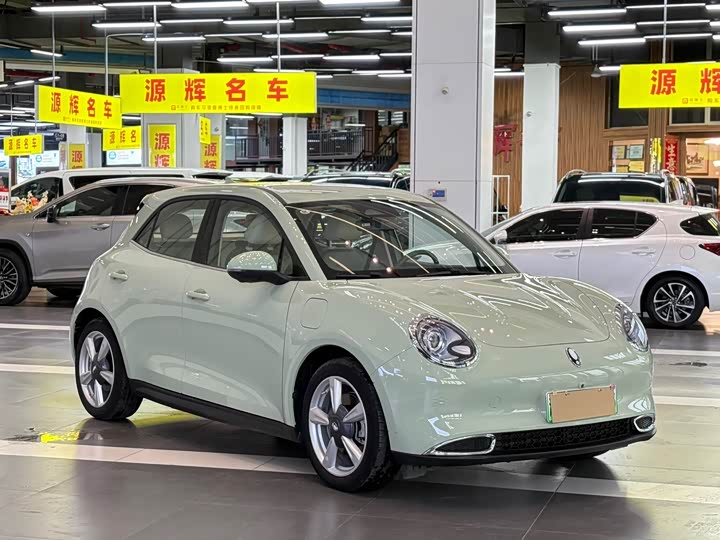 Photo 4 - Ora Good Cat (03)