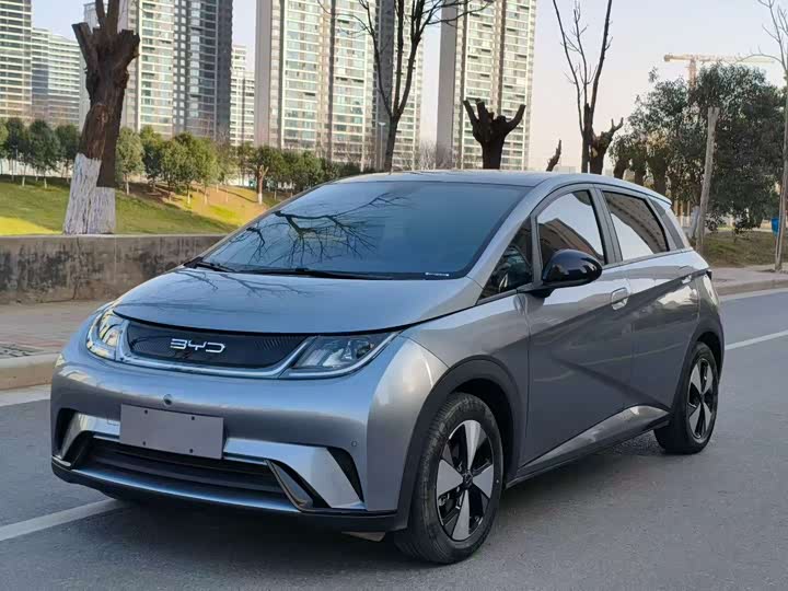 Фото 1 - BYD Dolphin