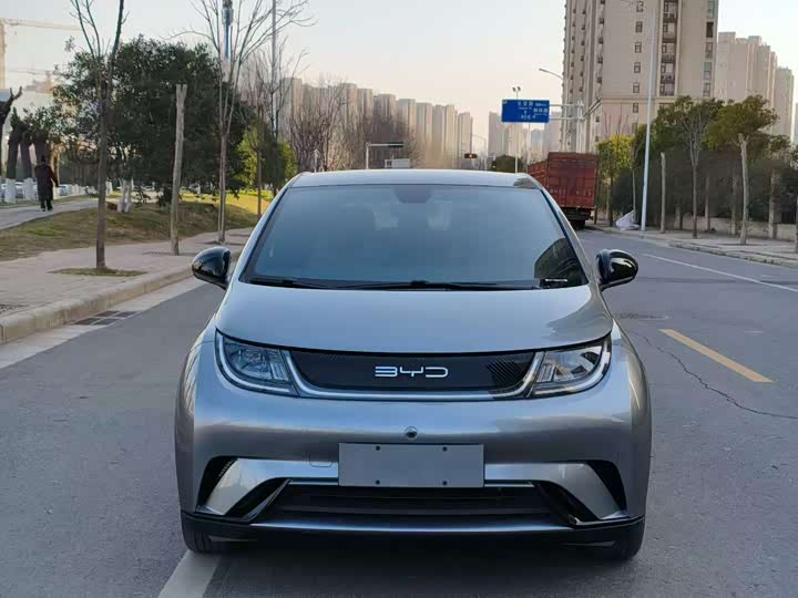 Фото 2 - BYD Dolphin