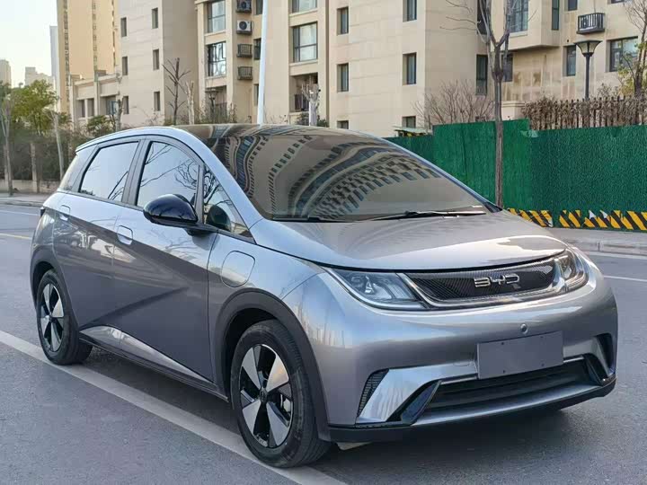 Фото 3 - BYD Dolphin