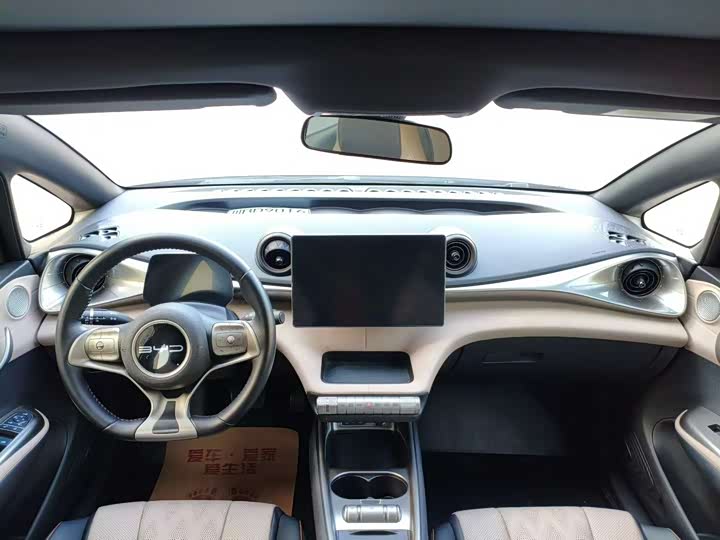 Фото 5 - BYD Dolphin