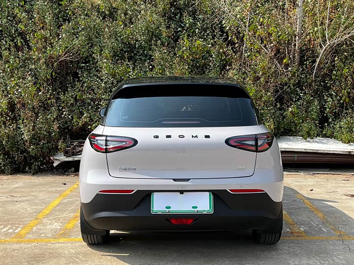 Фото 6 - Geely Galaxy Geome