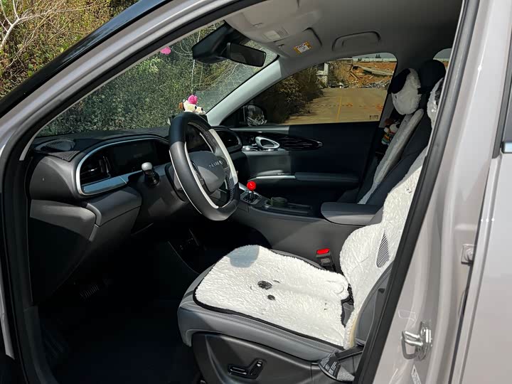 Фото 9 - Geely Galaxy Geome