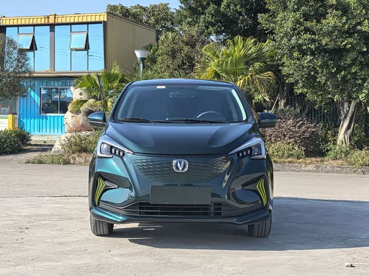 Фото 2 - Changan BenBen E-Star