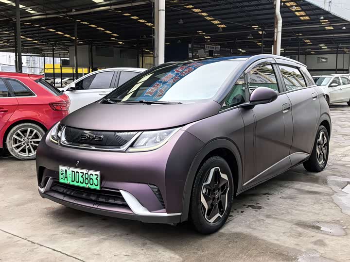 Фото 1 - BYD Dolphin