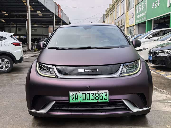 Фото 2 - BYD Dolphin