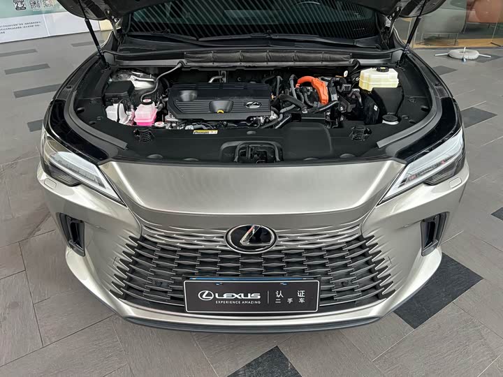 Фото 5 - Lexus RX