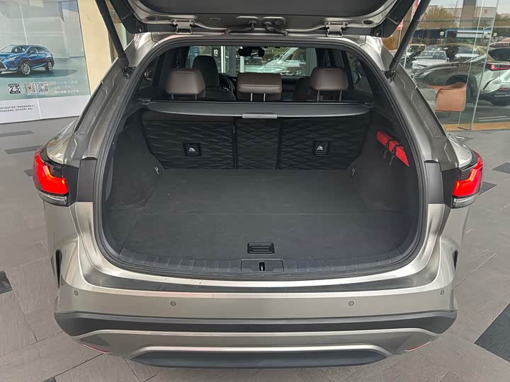 Фото 6 - Lexus RX