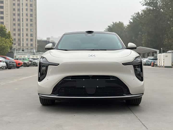 Фото 2 - IM motors LS6