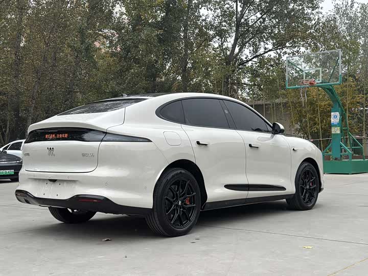 Фото 4 - IM motors LS6