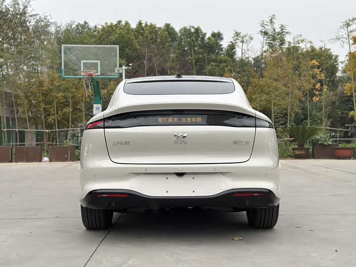 Фото 5 - IM motors LS6