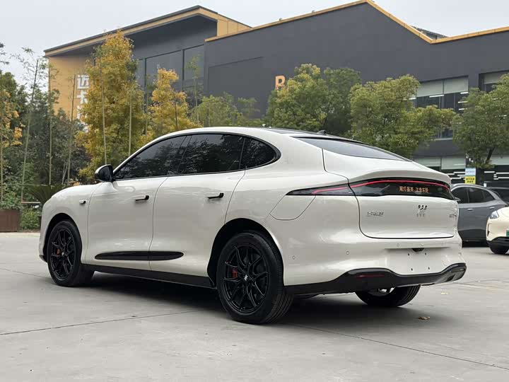 Фото 6 - IM motors LS6