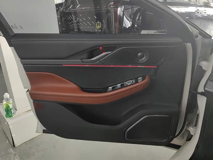 Фото 7 - Lincoln Z (Zephyr)