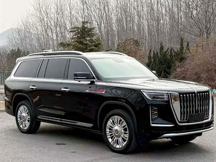 Photo 2 - Hongqi LS7 (Guoyao)