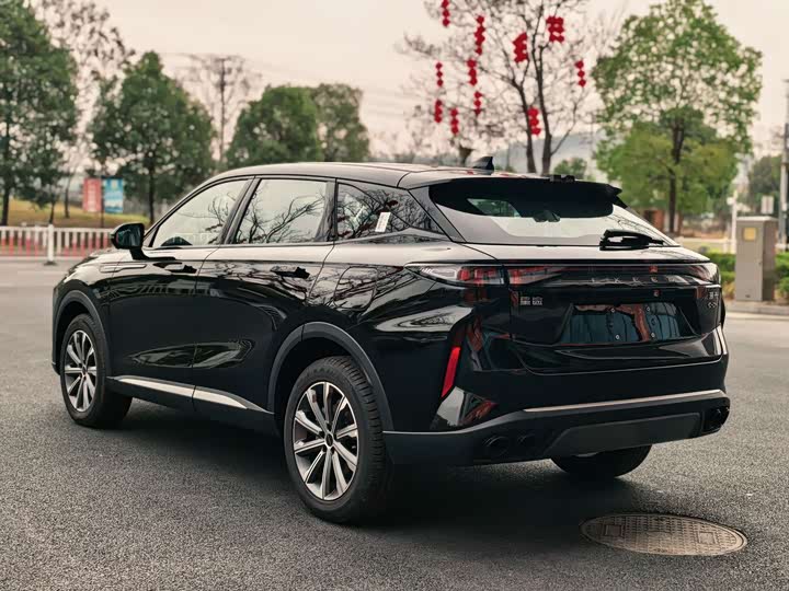 Фото 6 - Exeed RX C-DM Hybrid