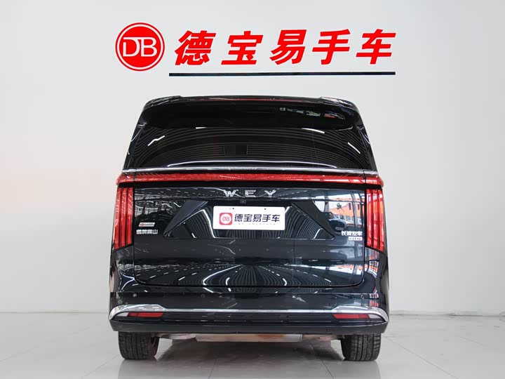 Фото 4 - Wey Gaoshan