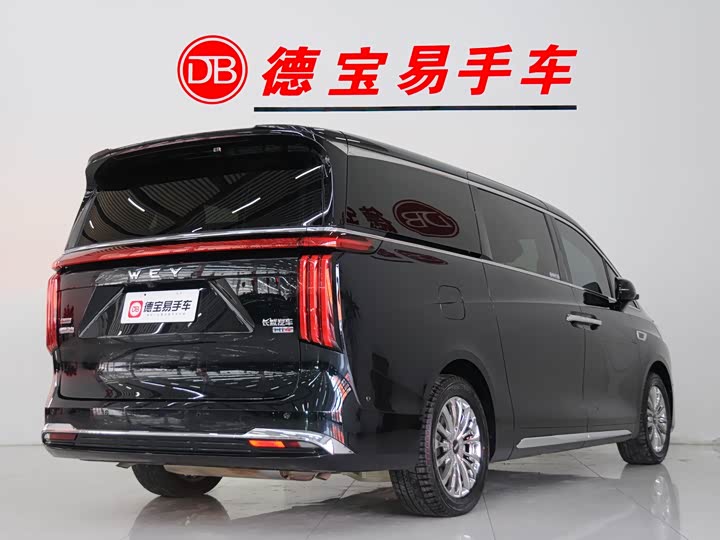 Фото 5 - Wey Gaoshan