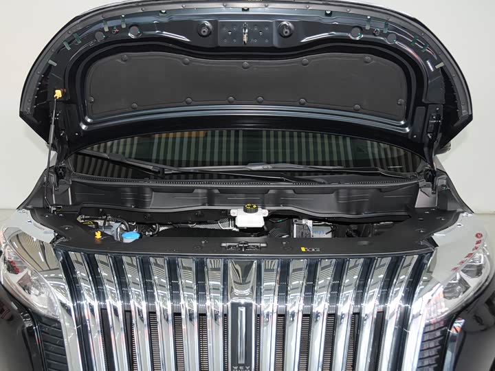 Фото 6 - Wey Gaoshan