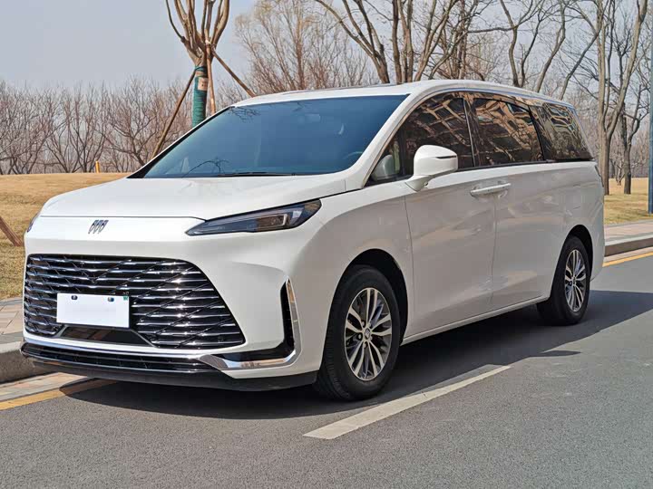 Фото 1 - Buick GL8 ES