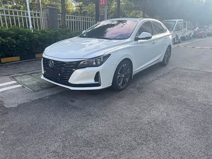 Фото 1 - Changan Raeton CC