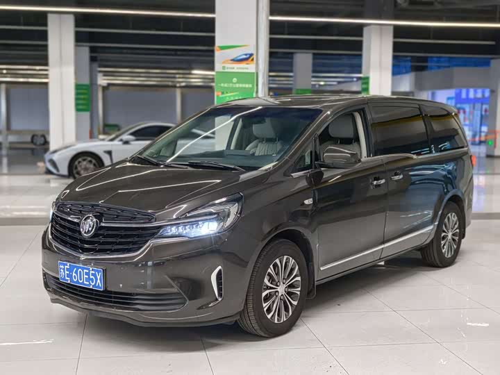 Фото 1 - Buick GL8 ES