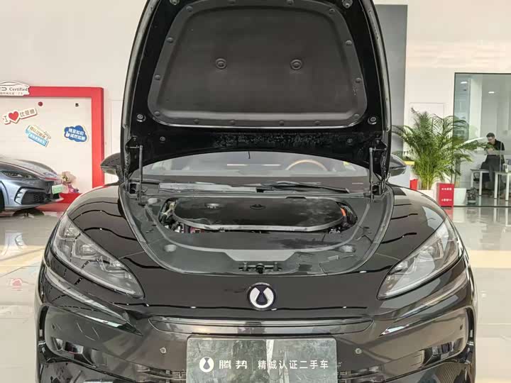 Фото 5 - Denza Z9