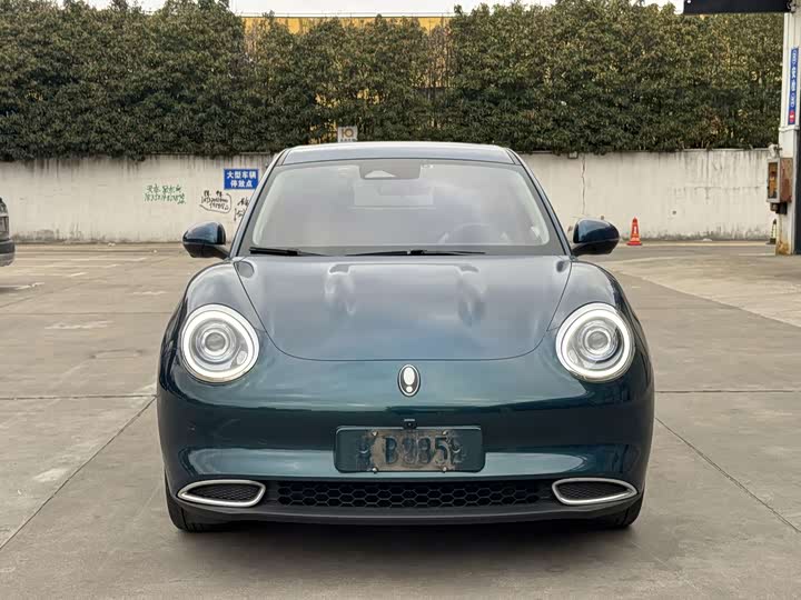 Фото 2 - Ora Good Cat (03)