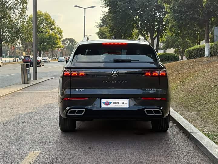 Фото 4 - Volkswagen Tavendor