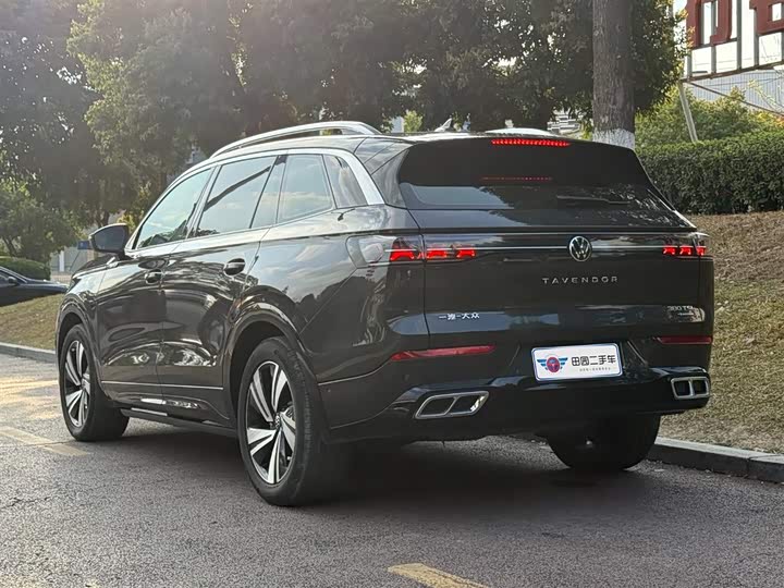 Фото 5 - Volkswagen Tavendor