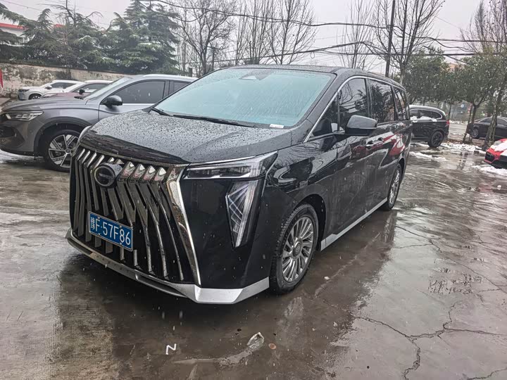 Фото 5 - GAC Trumpchi M8