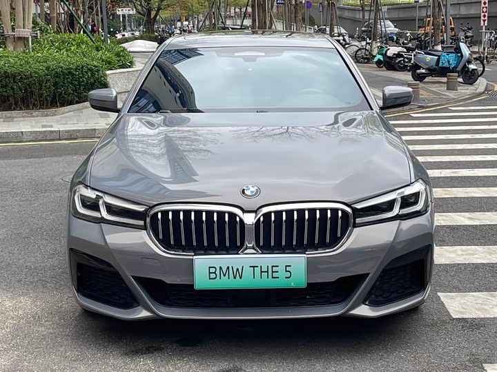 Фото 2 - BMW 5 Series Hybrid